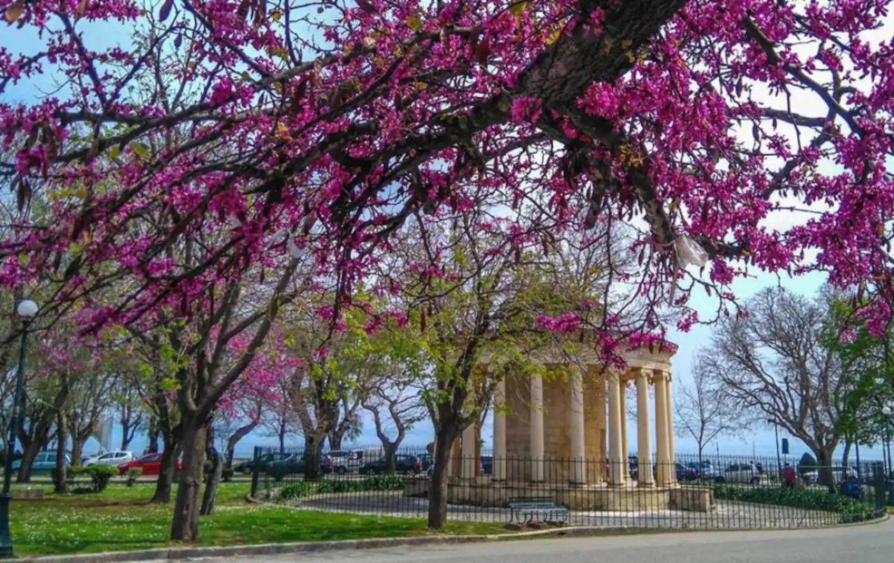 Corfu Studio In Historic Unesco City Centre Eksteriør bilde
